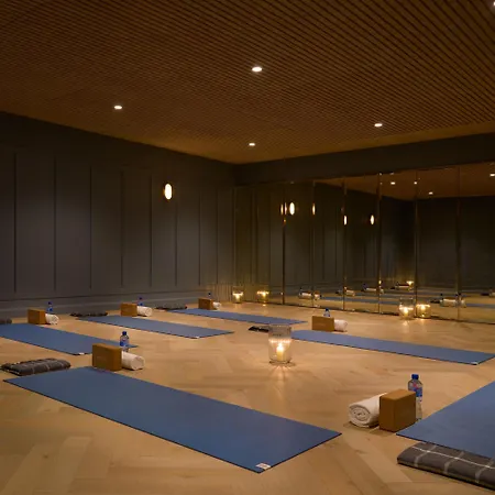 因其多尼岛spa酒店 酒店